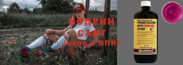 ПСИЛОЦИБИНОВЫЕ ГРИБЫ Инта
