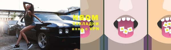 ПСИЛОЦИБИНОВЫЕ ГРИБЫ Инта
