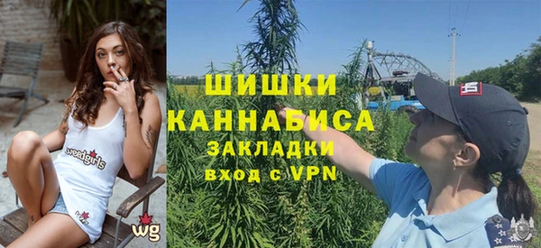 ПСИЛОЦИБИНОВЫЕ ГРИБЫ Инта