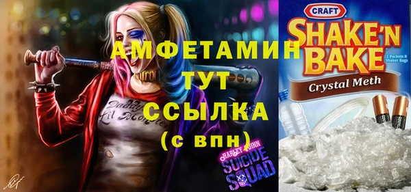 мет Инсар