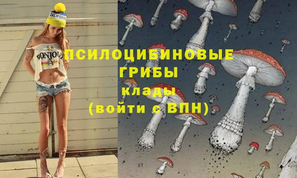 дмт Каменногорск