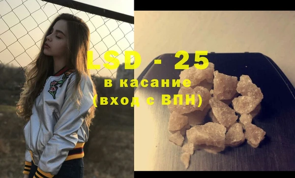 ПСИЛОЦИБИНОВЫЕ ГРИБЫ Инта