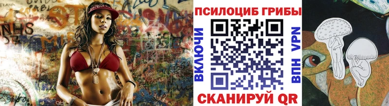 Купить где  Дубна  Галлюциногенные грибы Cubensis 