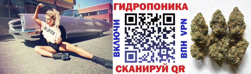 Купить где  Дубна  Конопля конопля 